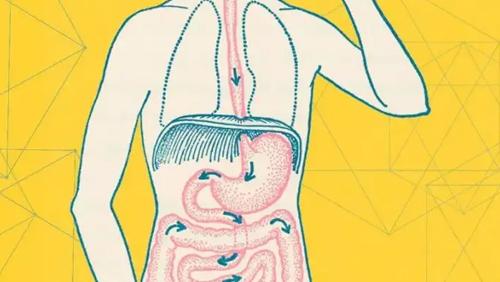 腸胃不好的人，平時(shí)常吃6種水果，或有助修復(fù)胃黏膜