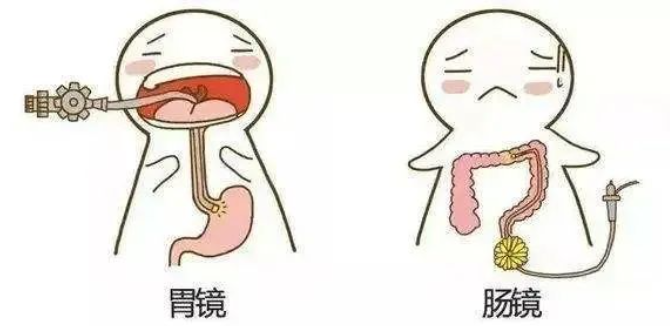 胃腸鏡檢查很重要！這6類人群千萬別拒絕……